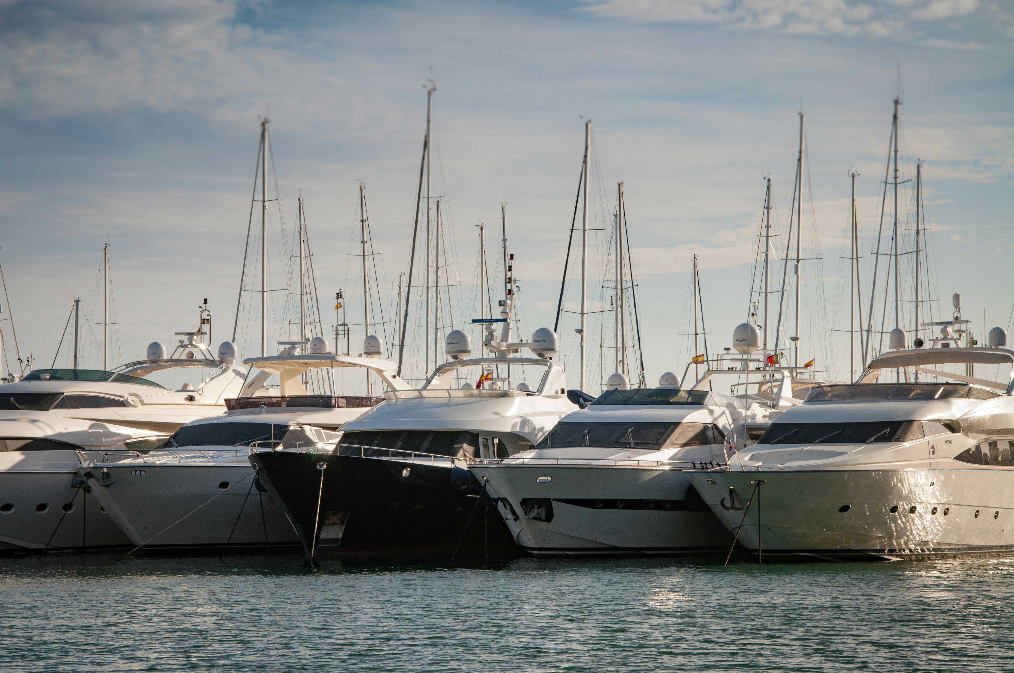 Multiple yachts in marina